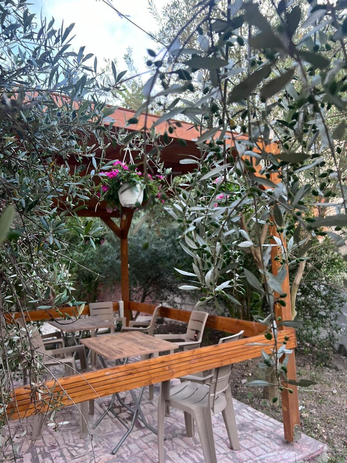 Vila Magis فلورا المظهر الخارجي الصورة